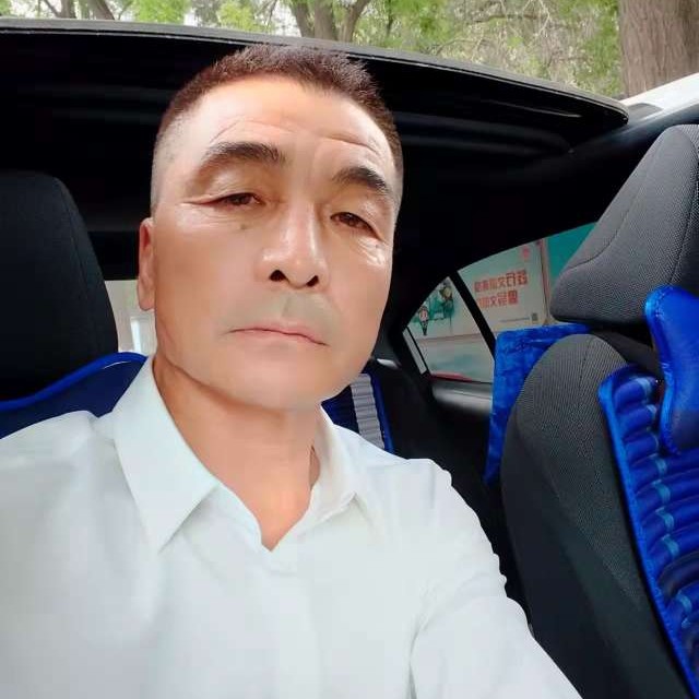 刺猬相许幽默的照片