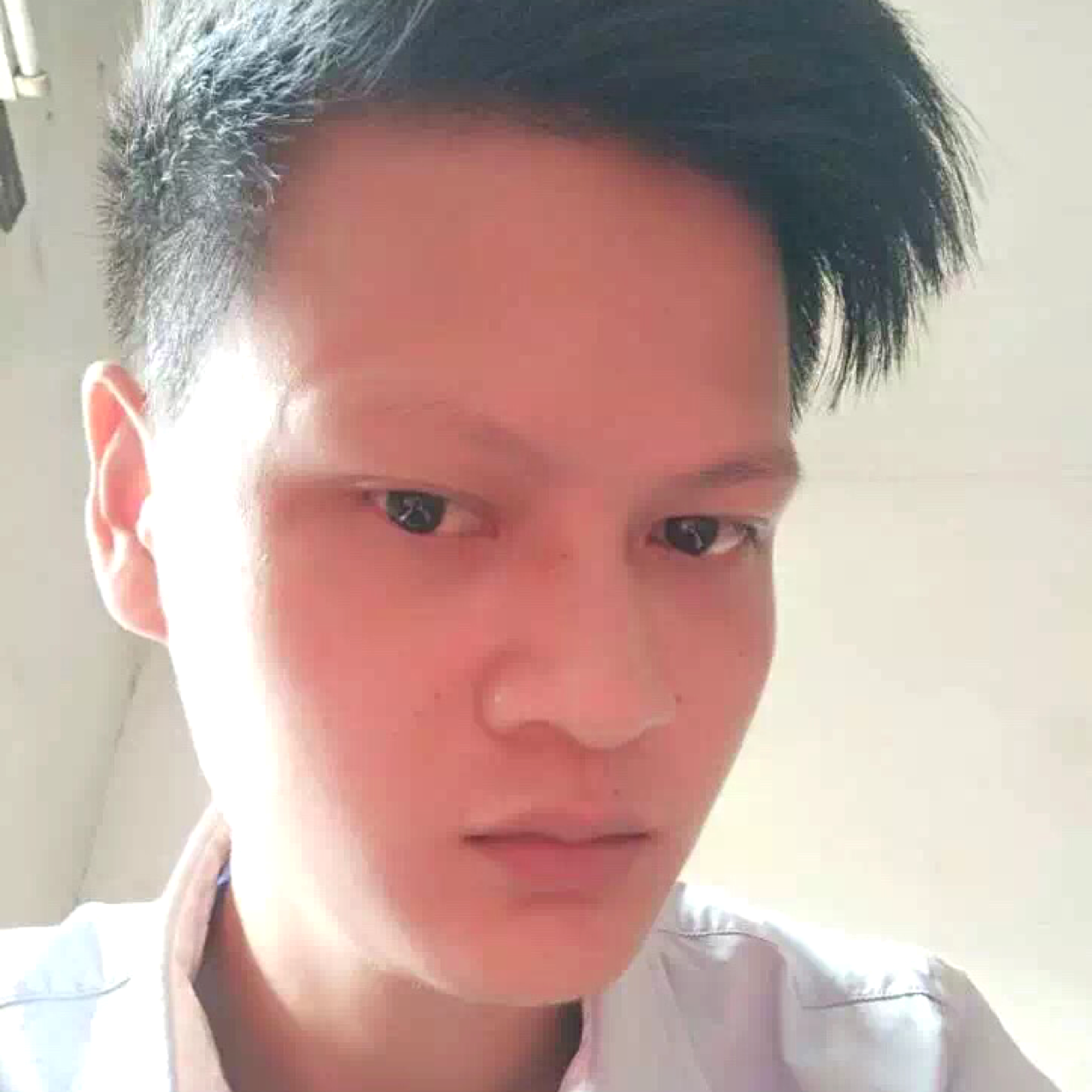 典雅呓语，的照片