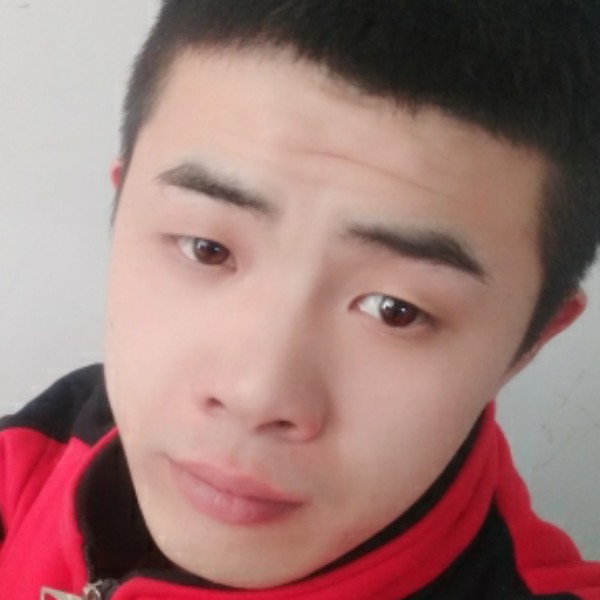 小鸭子寒冷的照片
