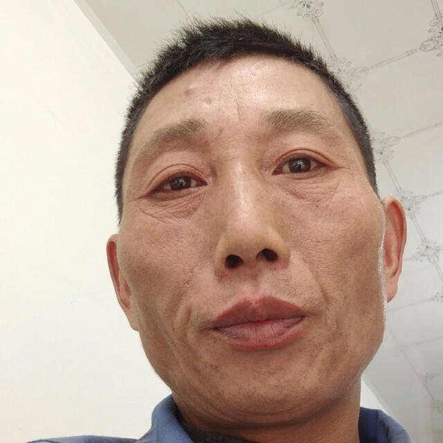 汉堡就任性妄为的照片