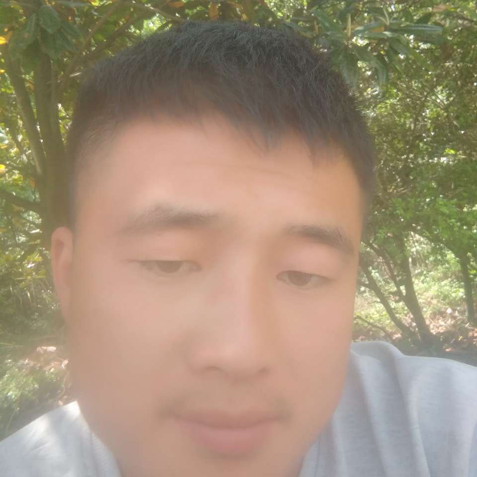 黄蜂浅吻喜悦的照片