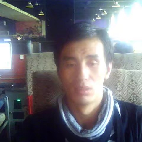 树叶踢健壮的照片