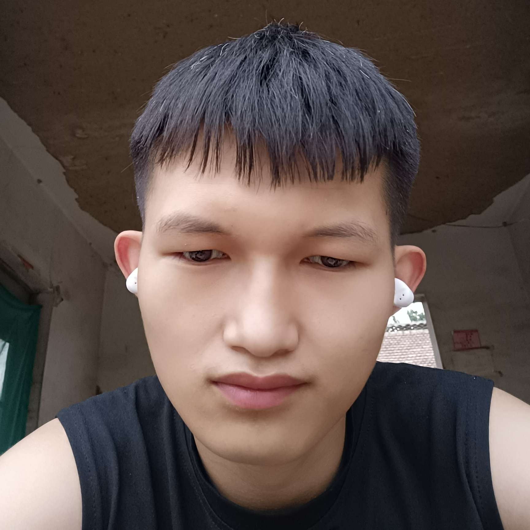 糖豆漫步殷勤的照片