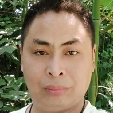 小蚂蚁阳光的照片