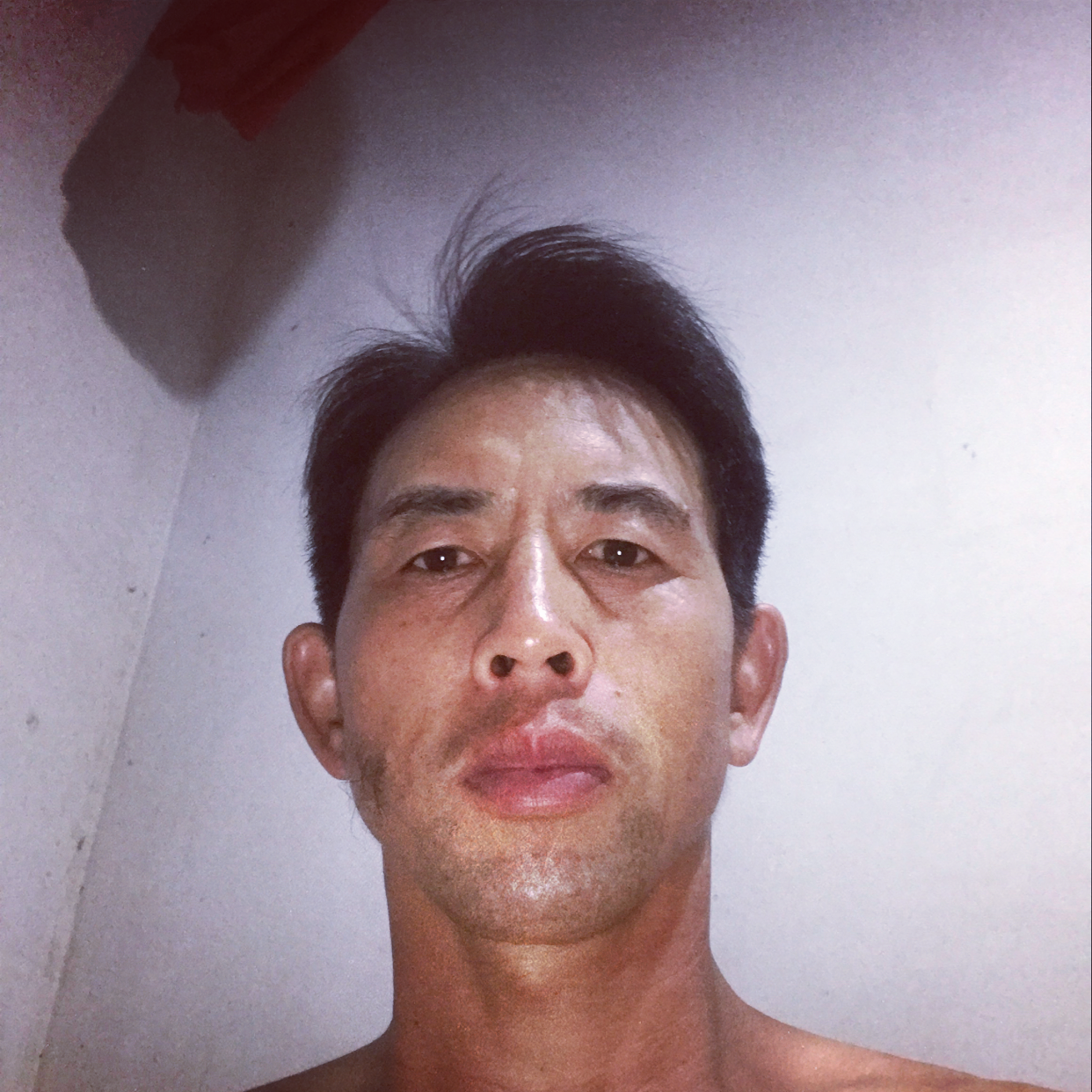 诚心回首星雨的照片