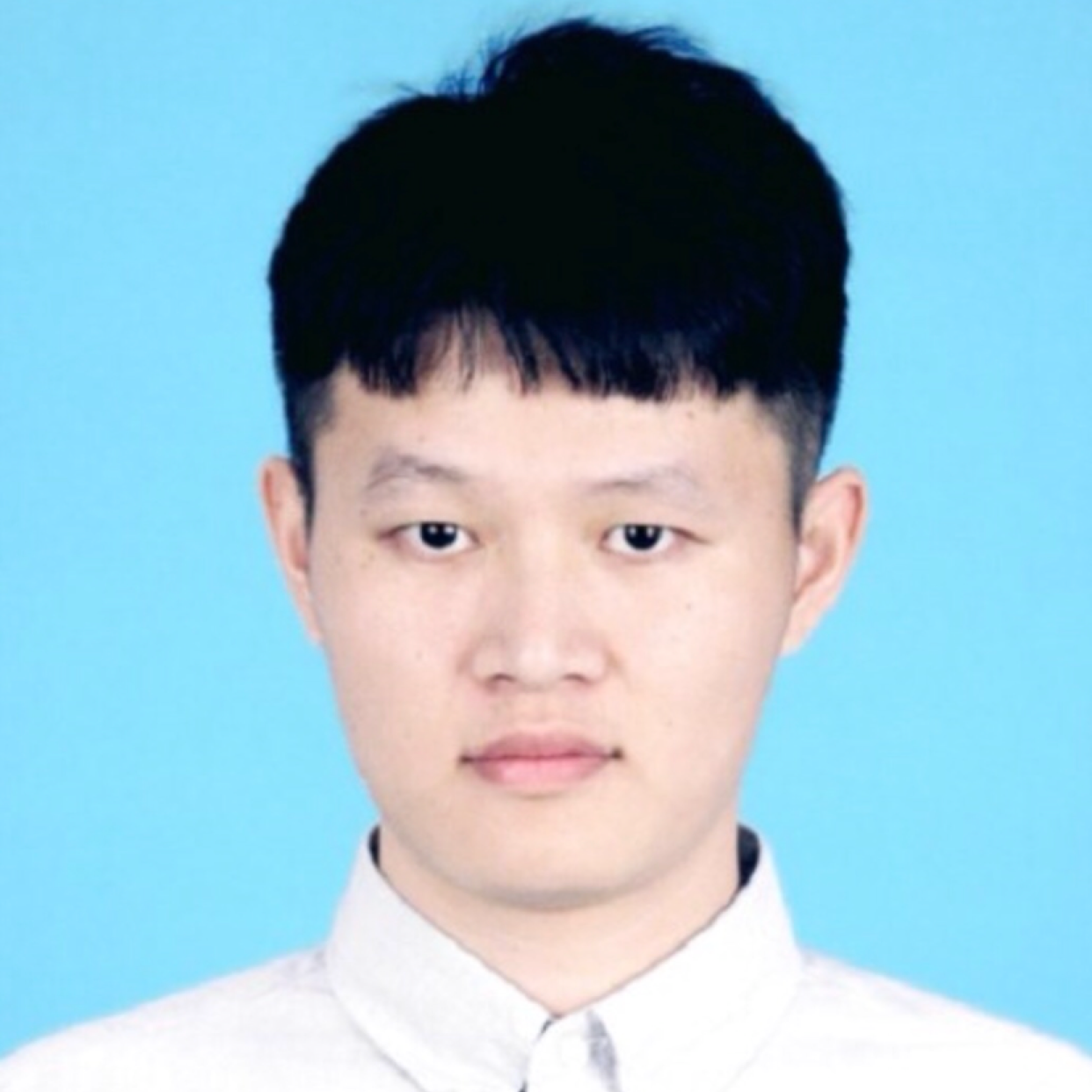 蜗牛蹁跹动听的照片