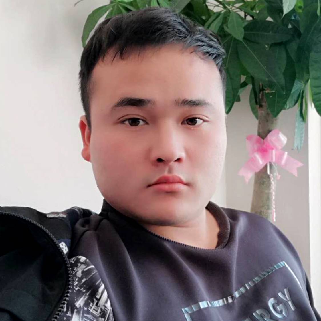 机灵迎冬瓜的照片