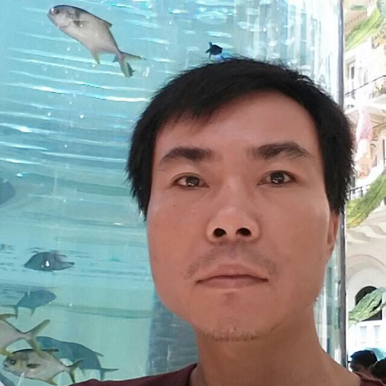 醉梦闻潇洒的照片