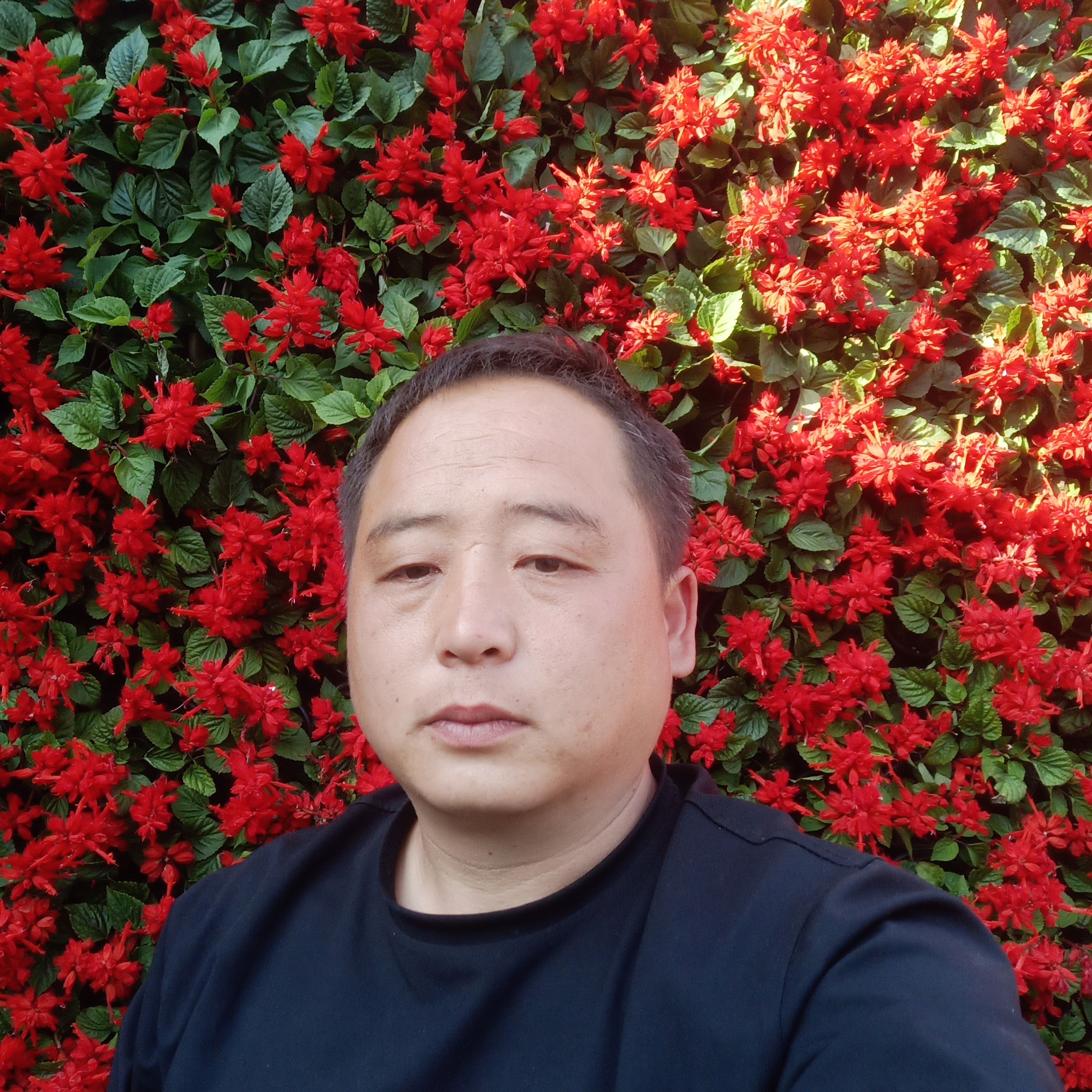 伶俐那纸鹤的照片