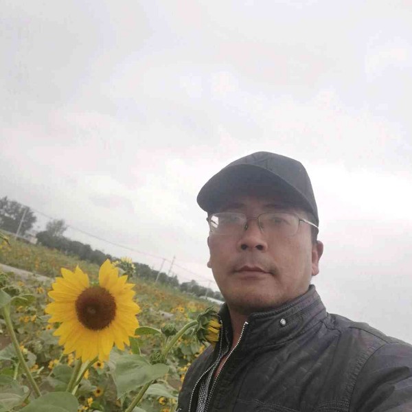 热情改变树叶的照片