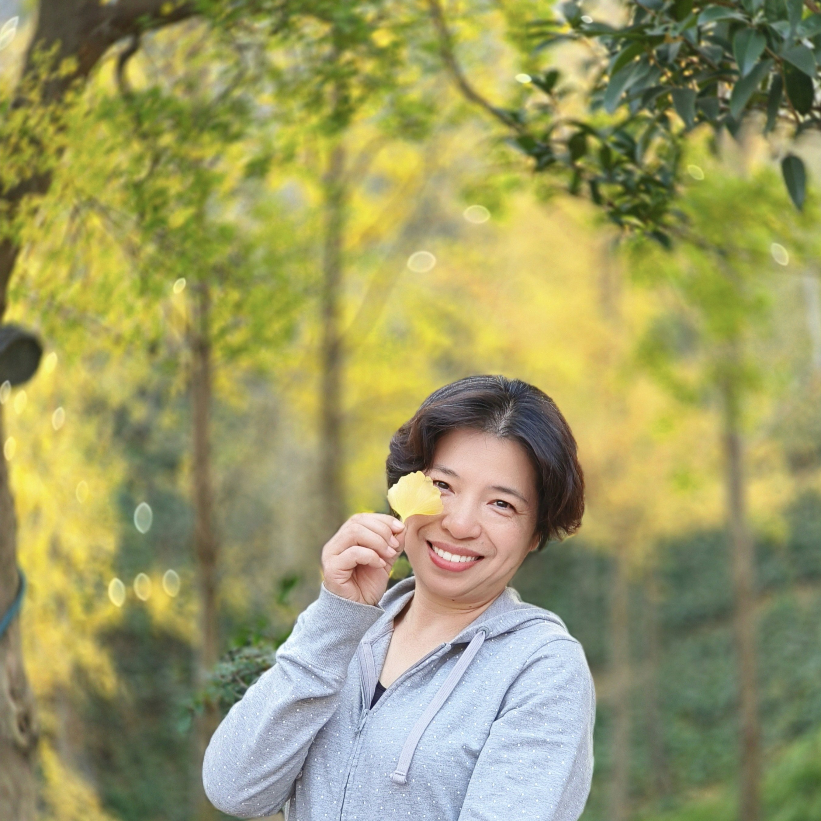 郁金香的照片