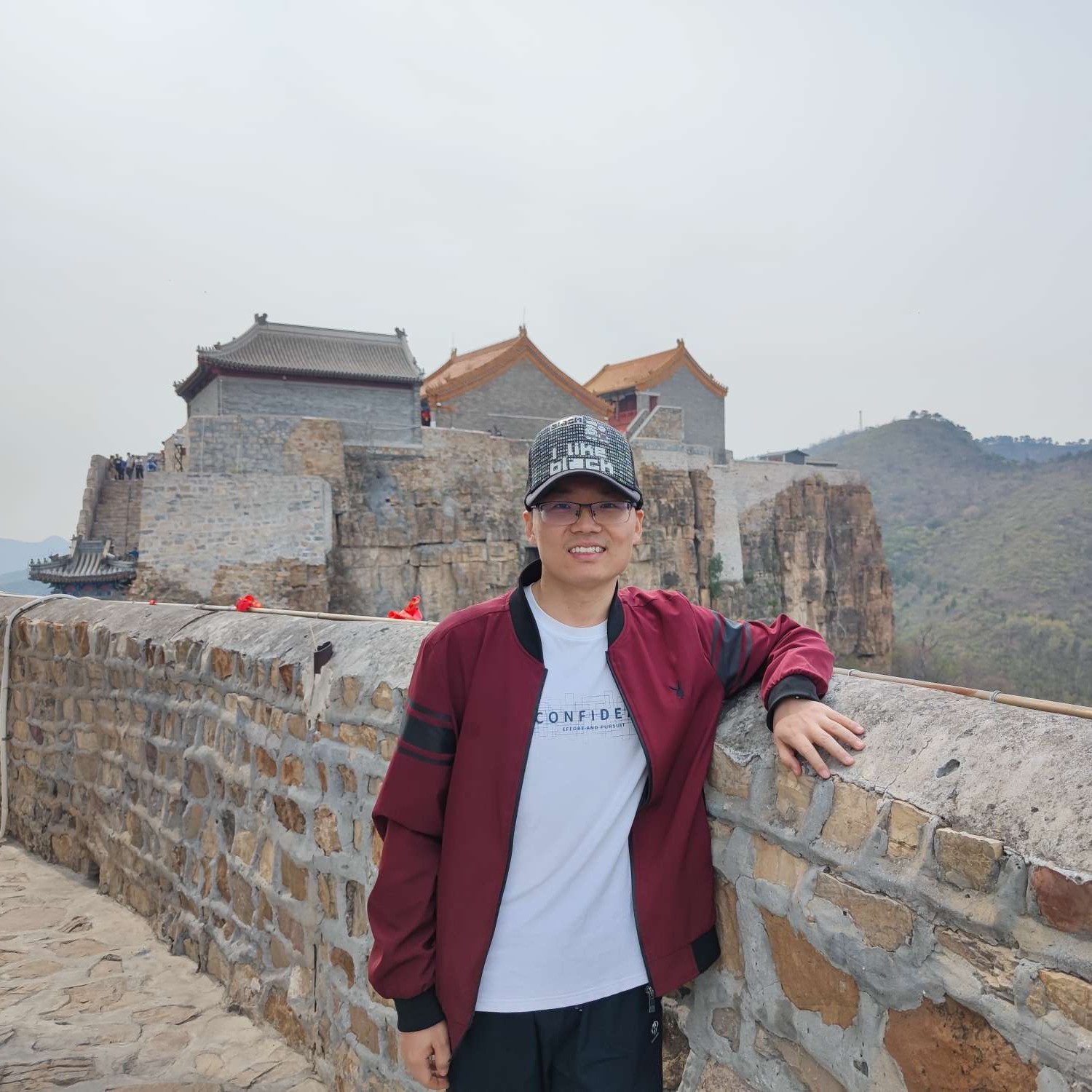 凤凰反念的照片