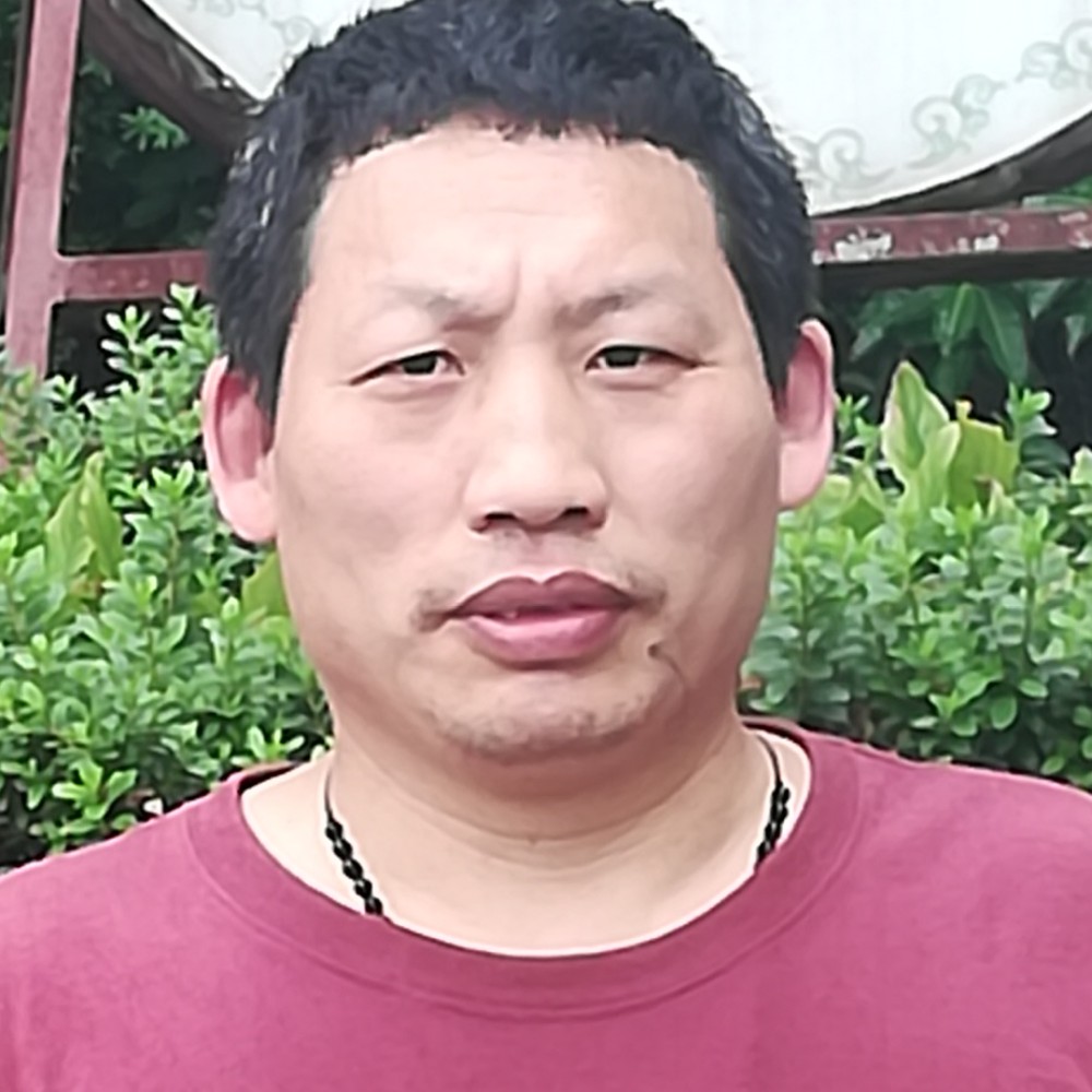 大力浅吻春天的照片