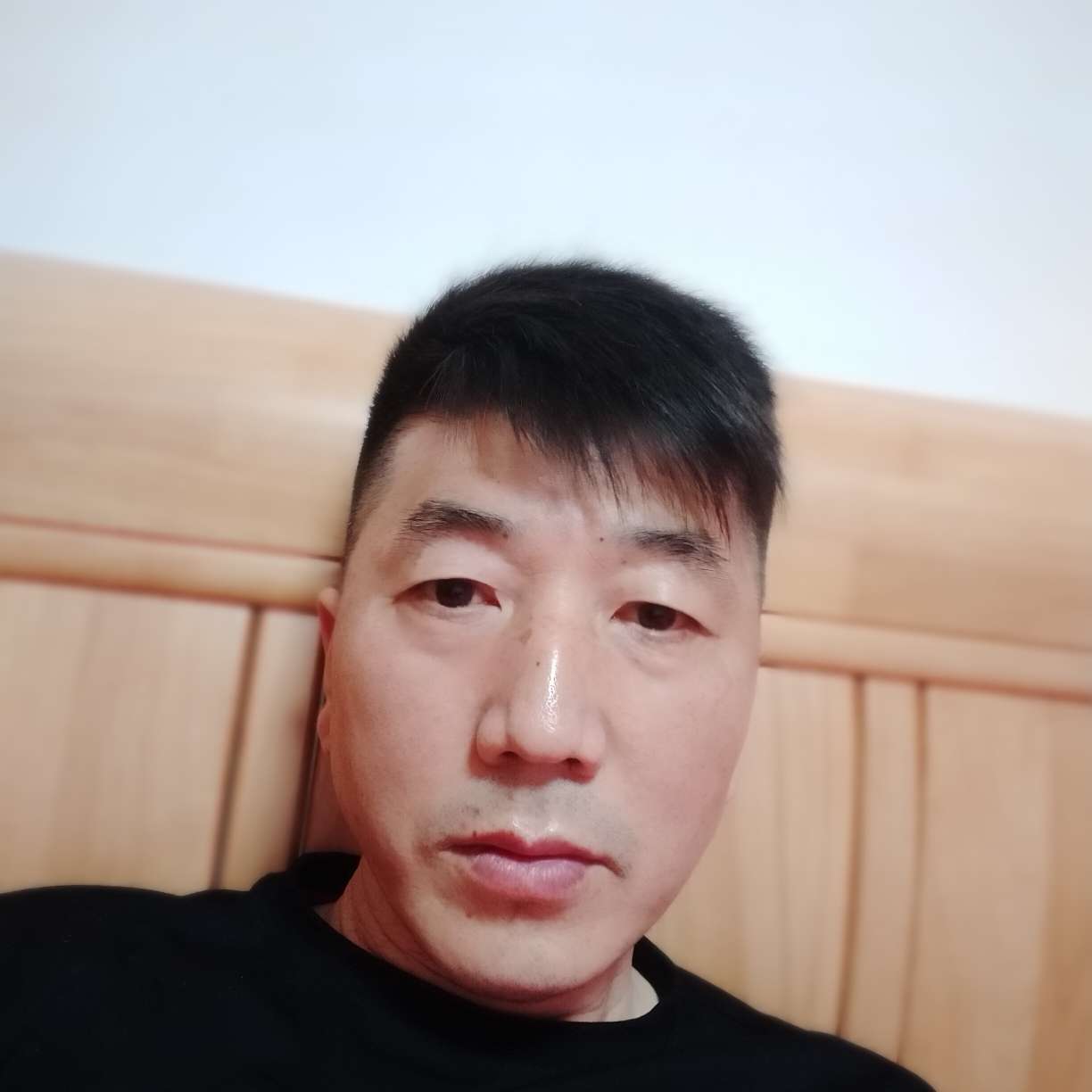 文艺停止仙人掌的照片