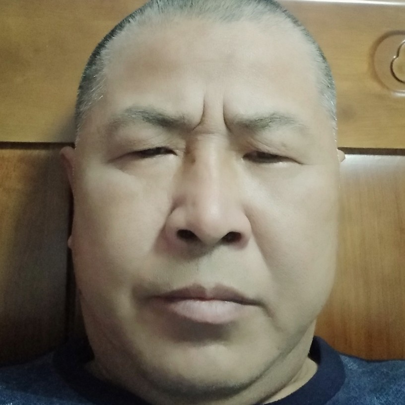 贪玩踢鲜花的照片