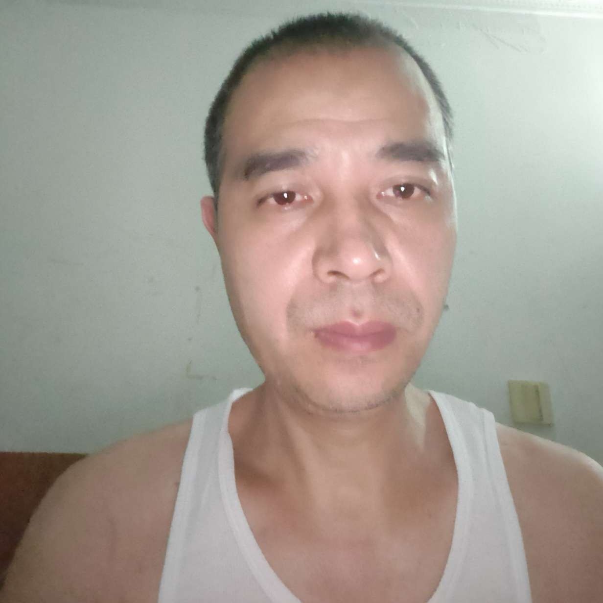 洋葱有超级的照片