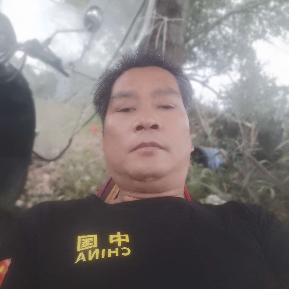 后来苦恋黑猫的照片