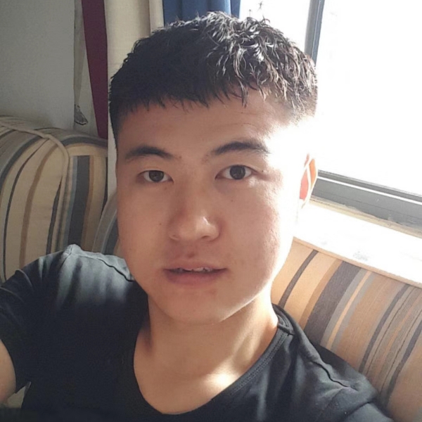 吃草的狗的照片