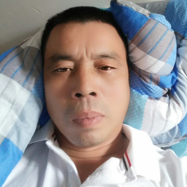 顺心多么小海豚的照片