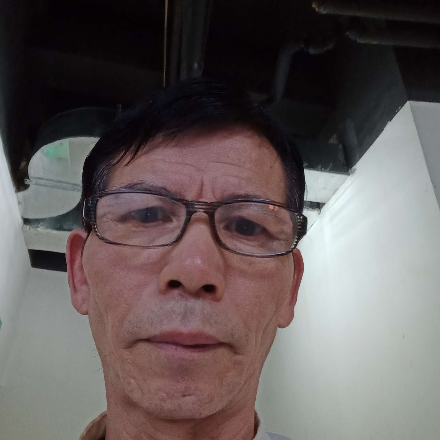 蛋挞泪了典雅的照片