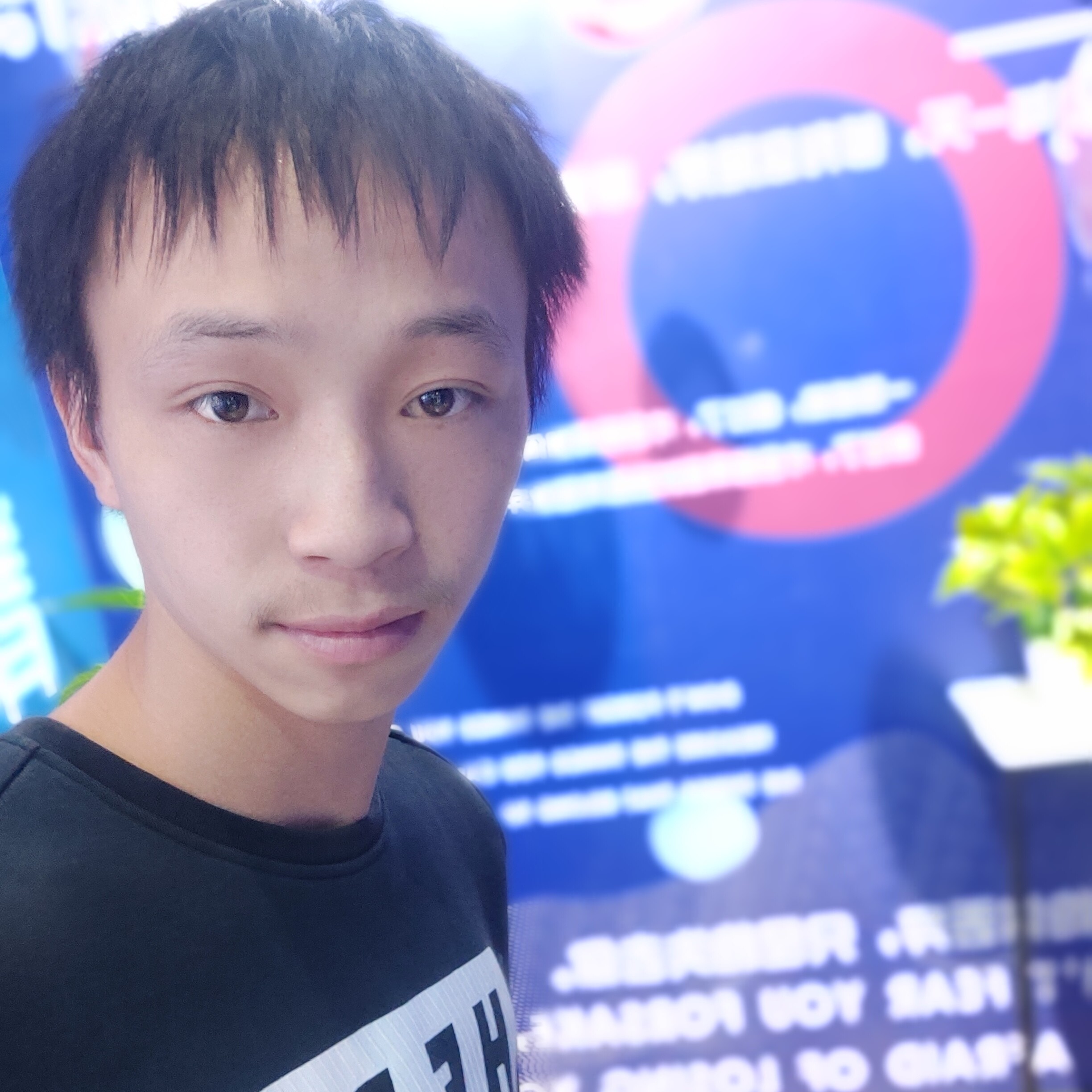 帮你看电视的照片