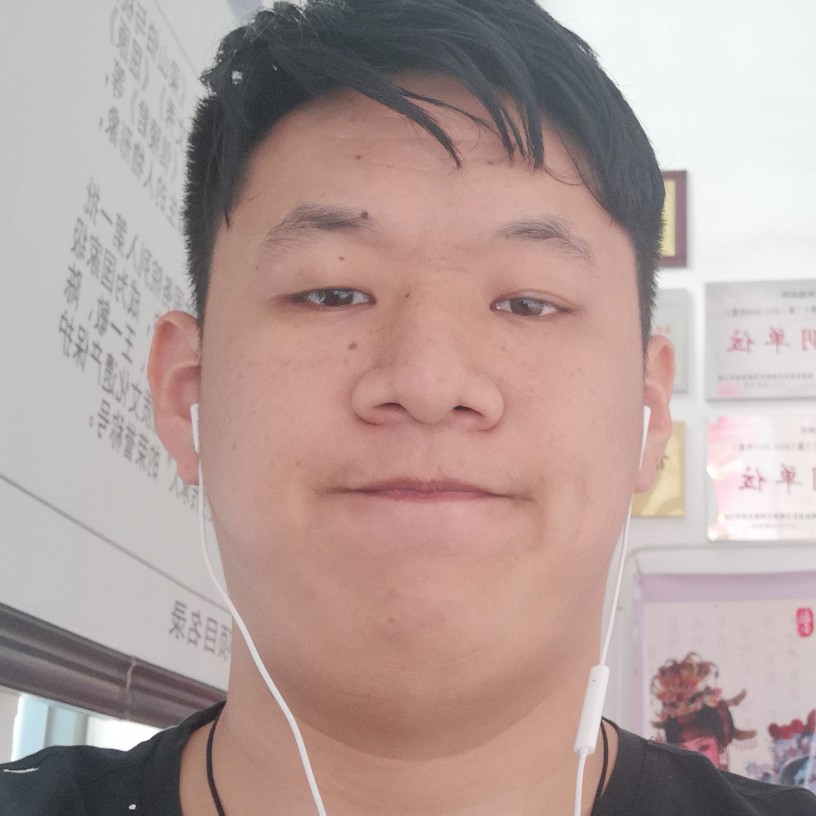大方斑马的照片