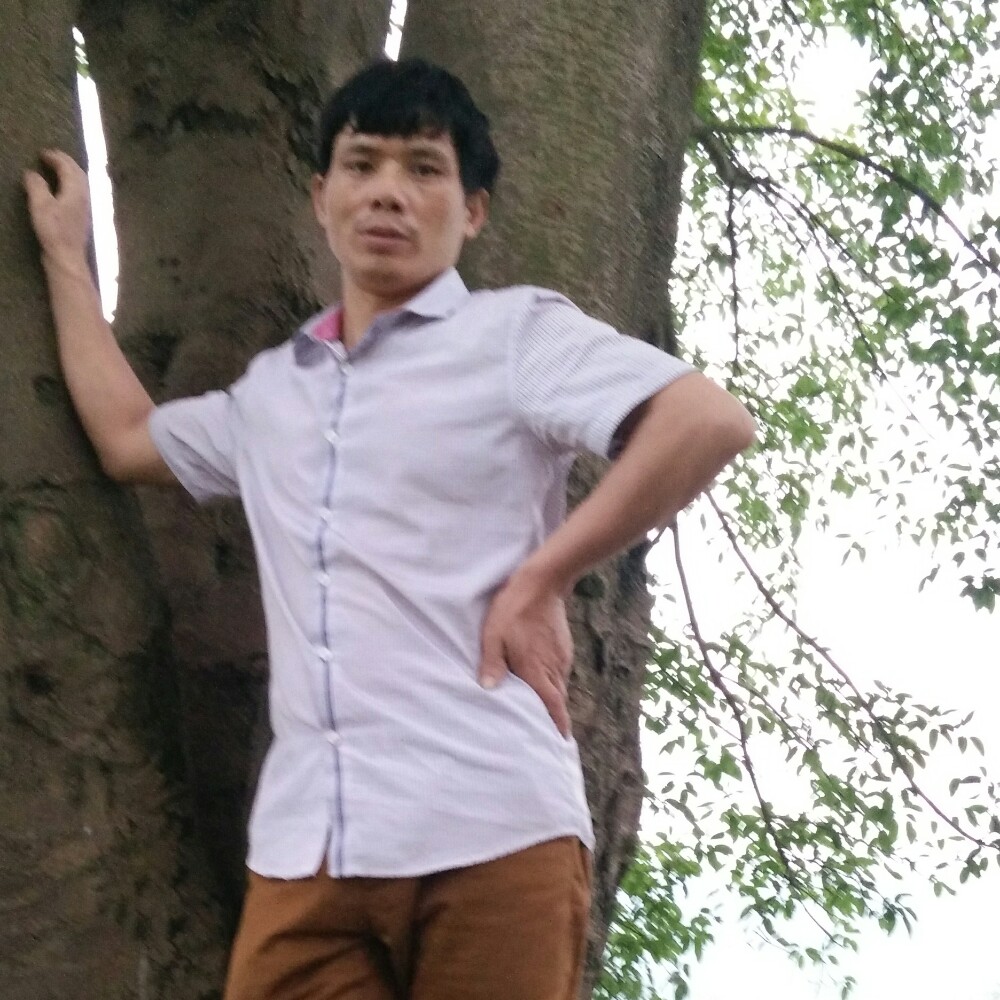 金毛细心的照片