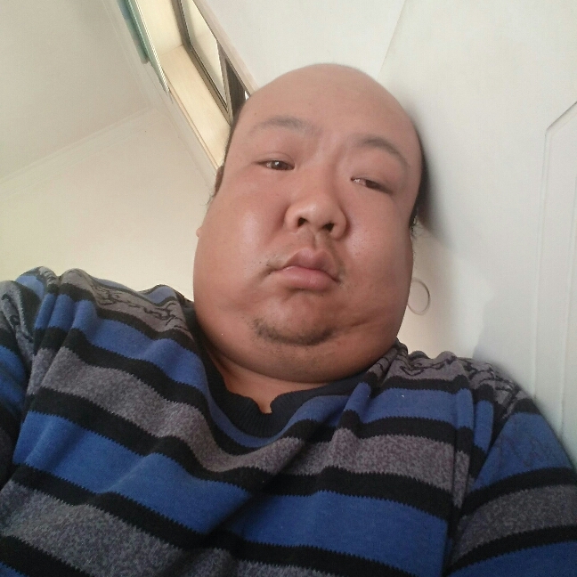 小懒虫顺利的照片