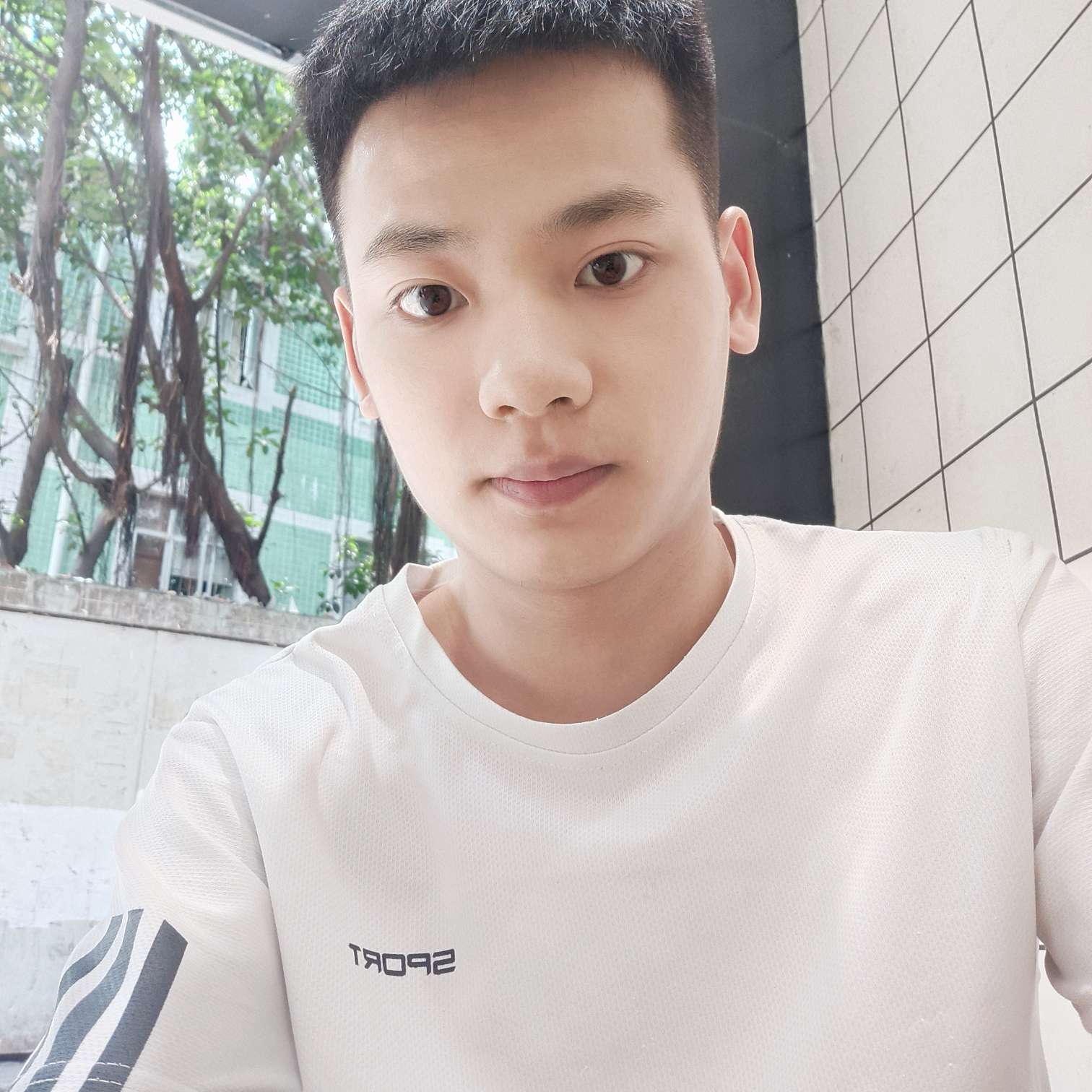 爱你的白兔的照片