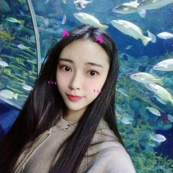 董小姐13的照片