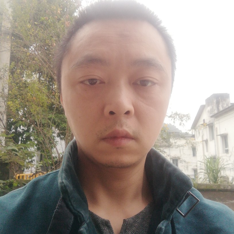 落叶飘11的照片