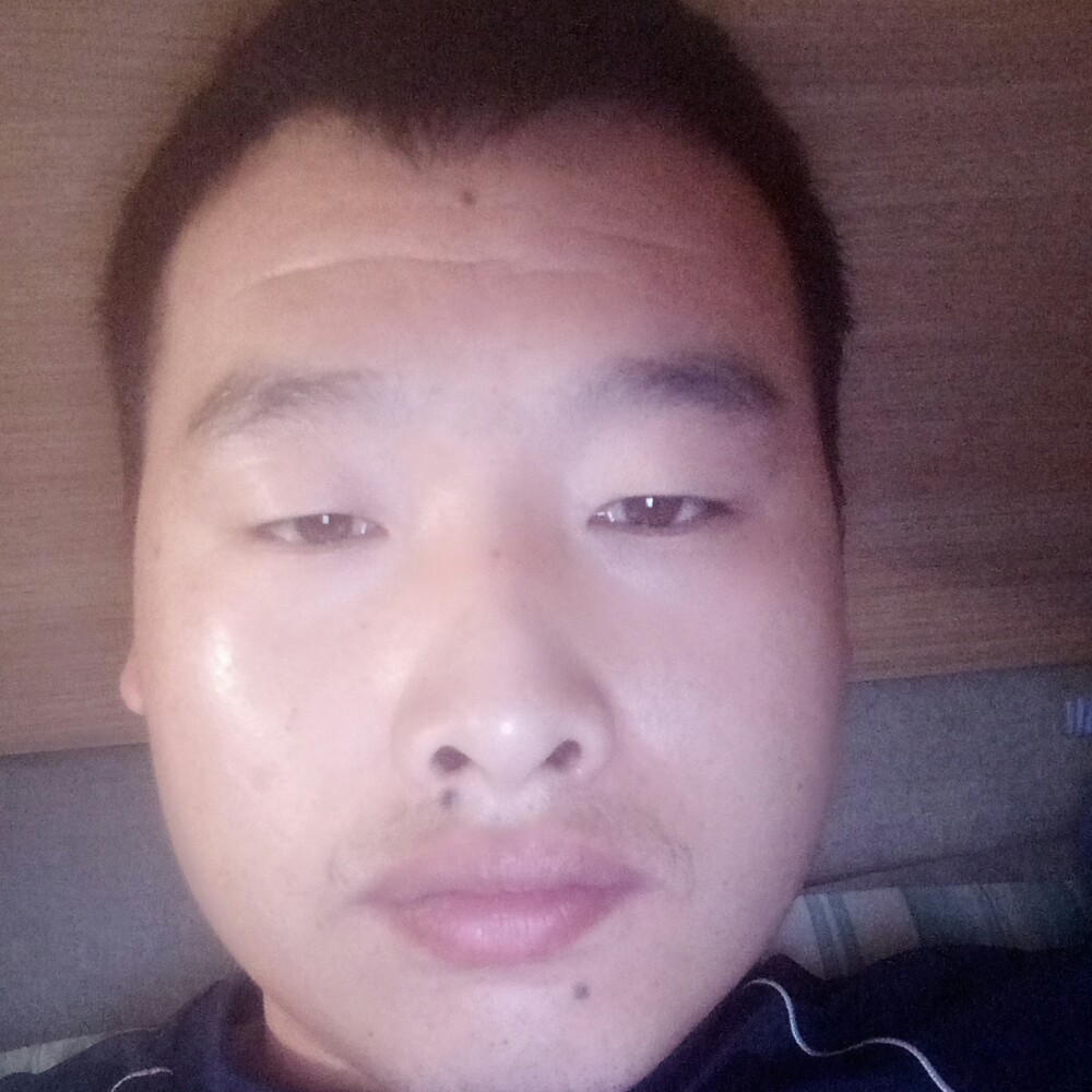 生活在狼群中的羊的照片