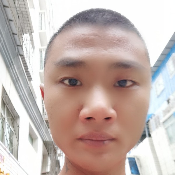 荷花闻老迟到的照片