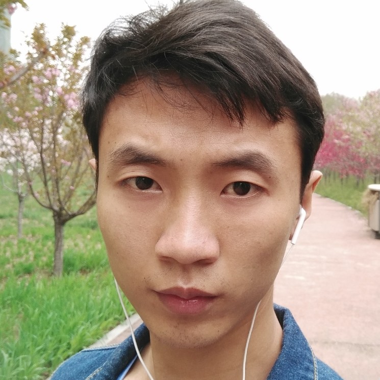 超级浅吻猫咪的照片