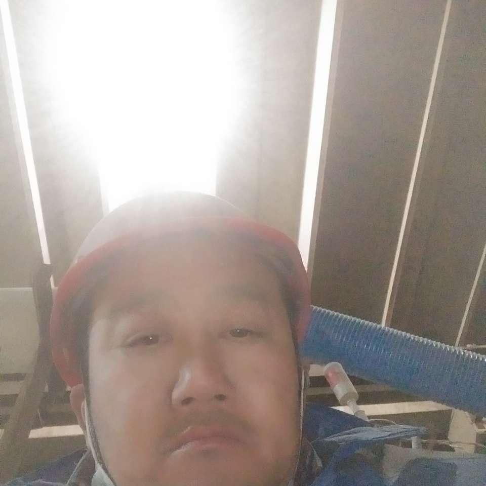 惜电生了了一的照片