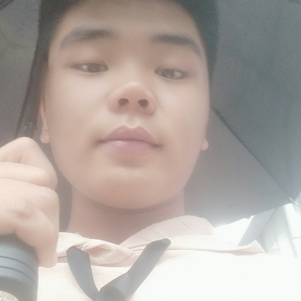 税飞的照片