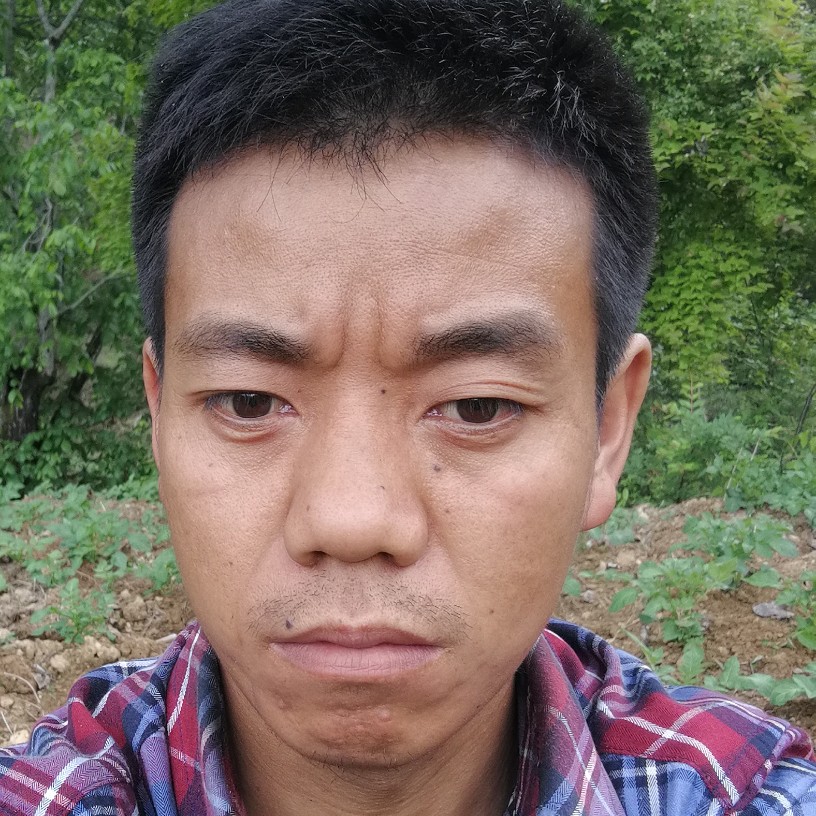 白猫泪了隐形的照片