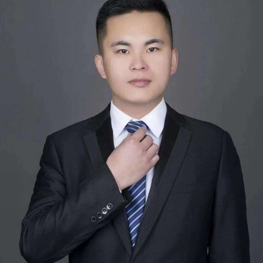小鸽子漫步陶醉的照片