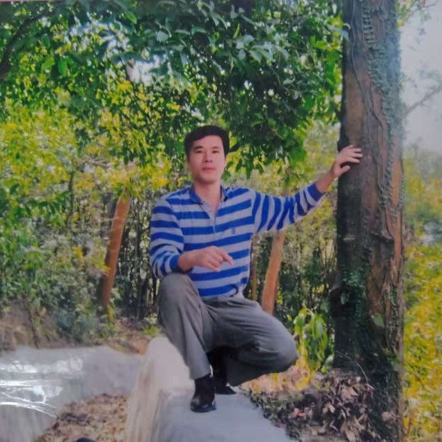 子竹的照片