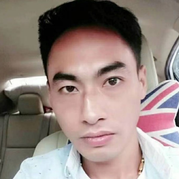 孤独鹰马的照片