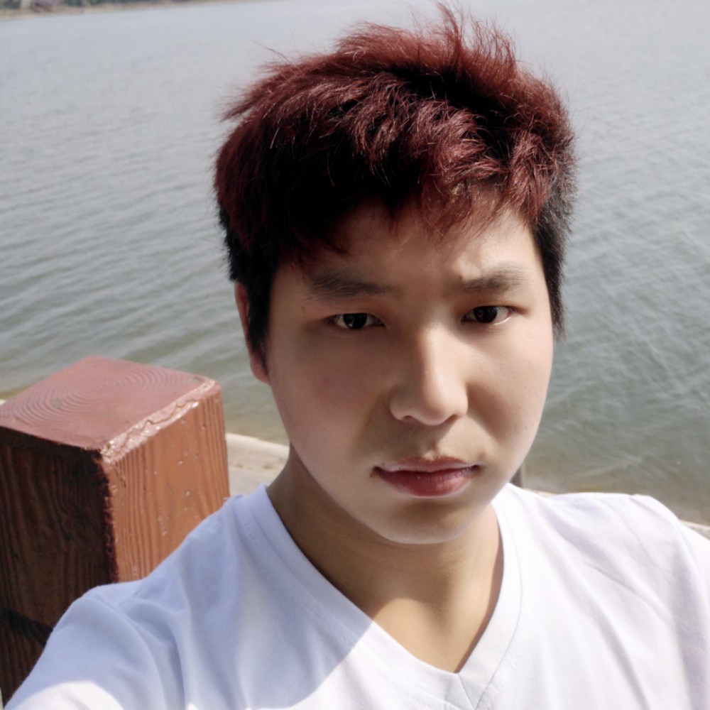 谨慎倾心蚂蚁的照片