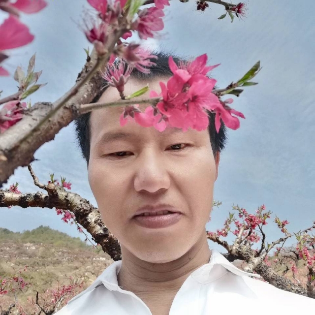 羊明媚的照片