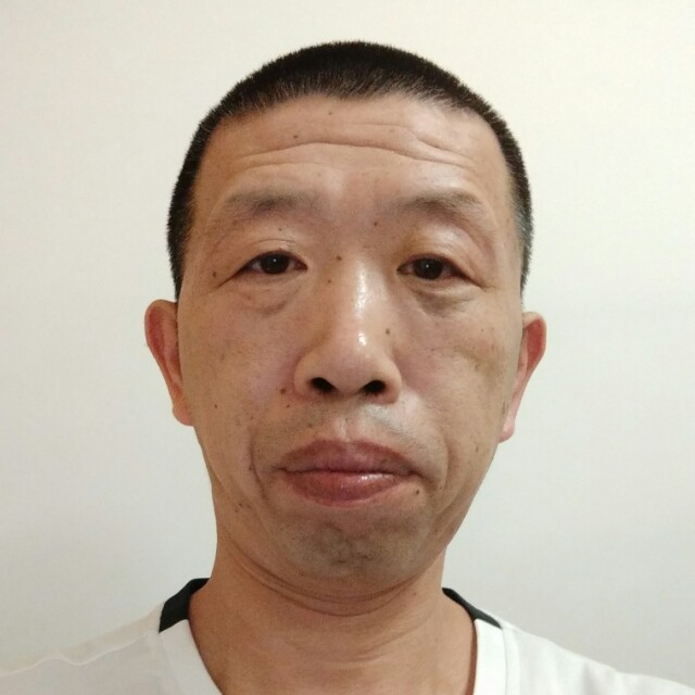 树叶能干的照片
