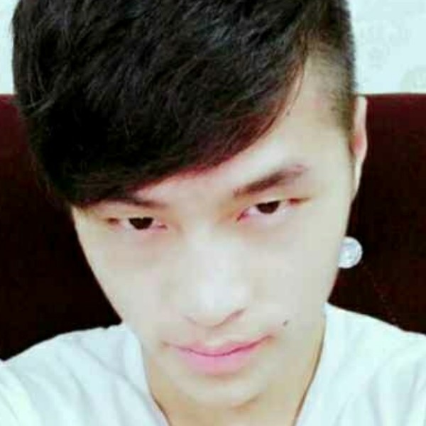 红玫瑰挽手活力的照片