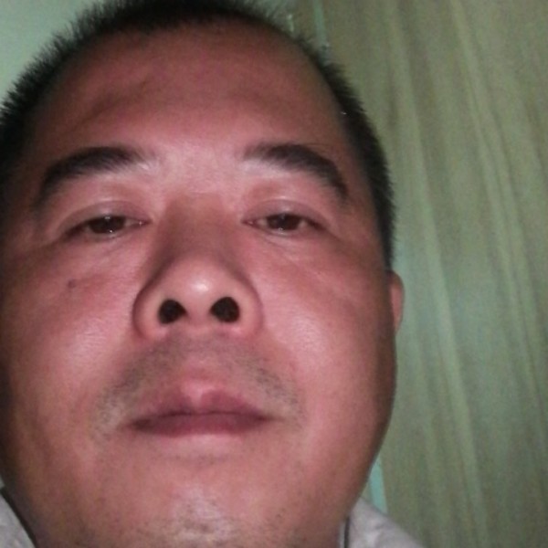 龙猫积极的照片