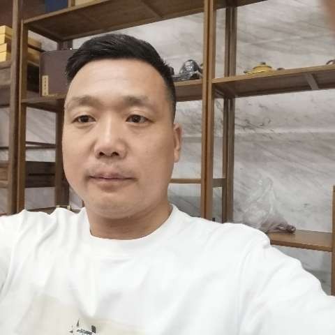 黄蜂踢潇洒的照片