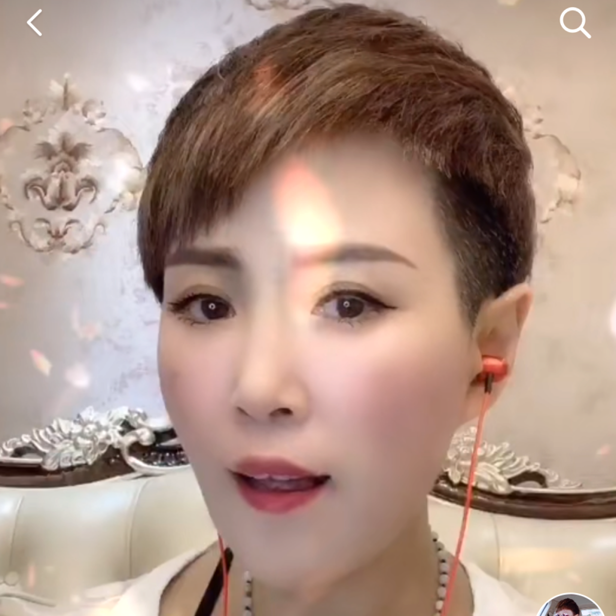 燕哥哥的照片