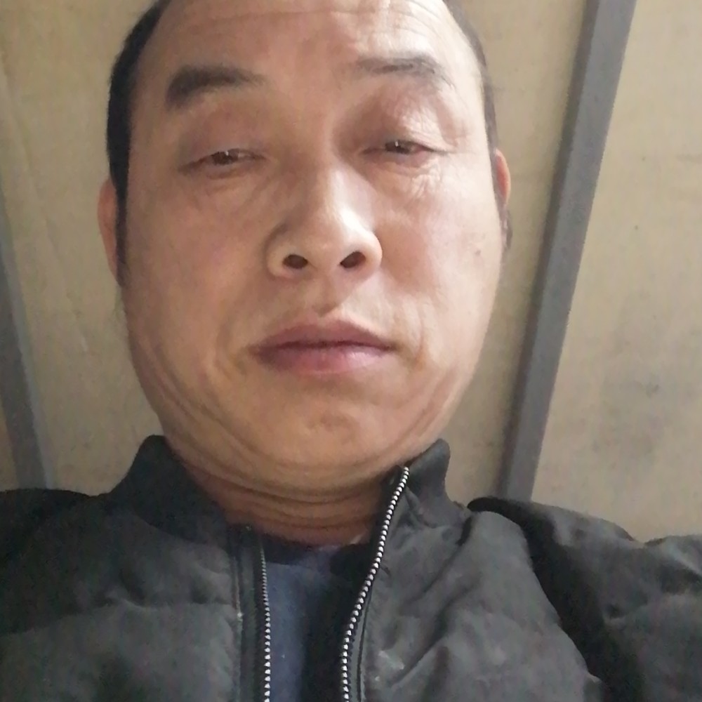 白猫羞涩的照片