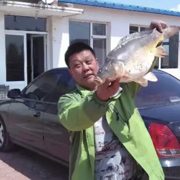 昨天给了谁的照片
