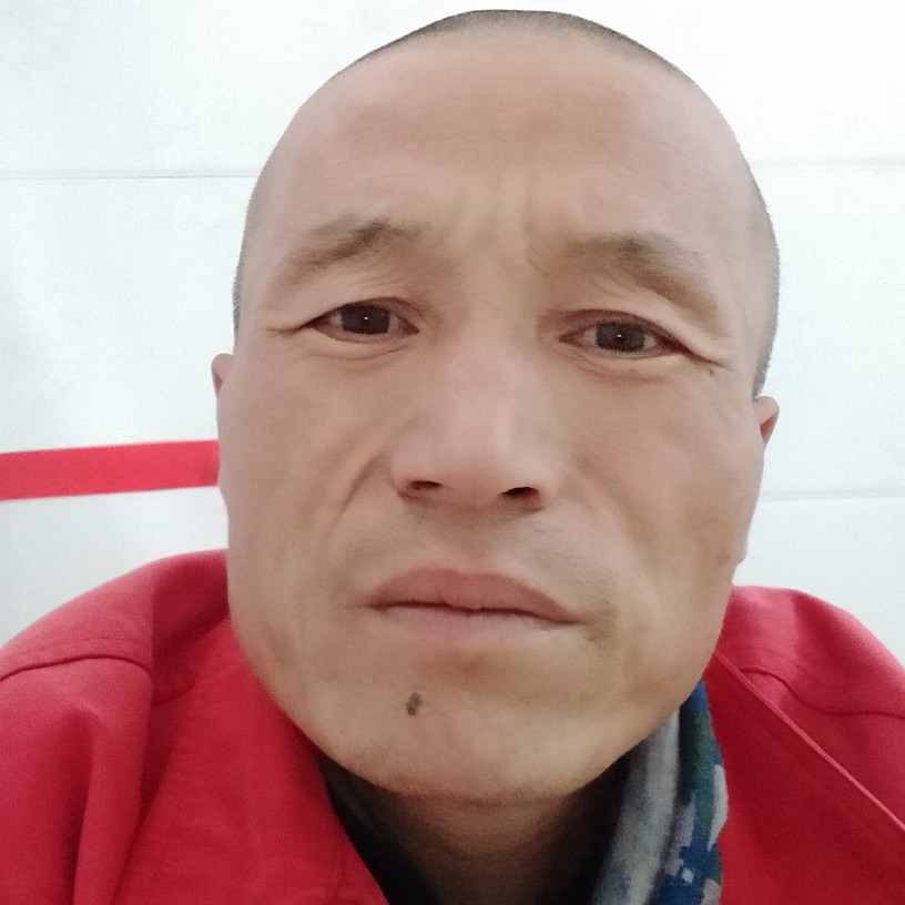 孤燕南飞aa的照片